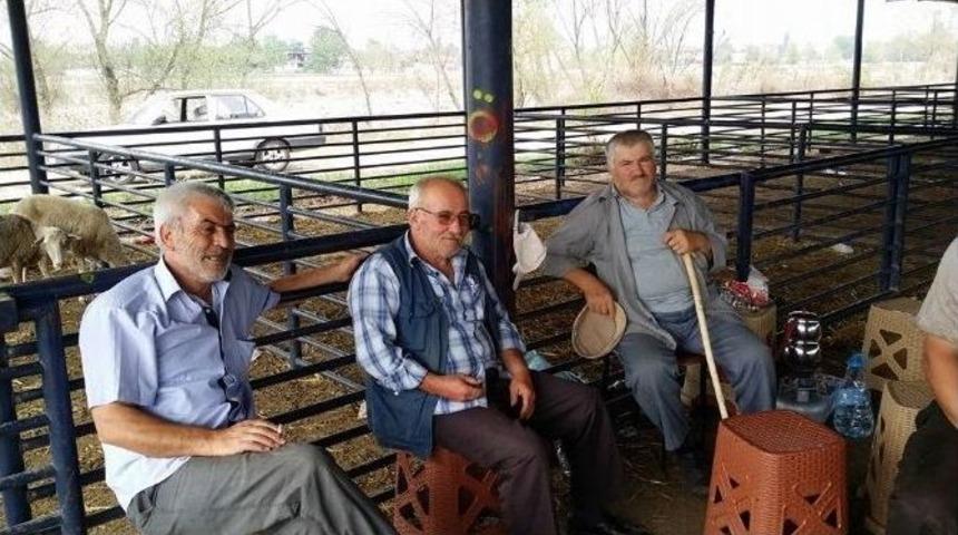 Elde Kalan Kurbanlıklar Ucuzladı