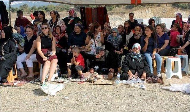 Manyas&rsquo;ta Pehlivan G&uuml;reşleri Ve Pomak Şenliği 1