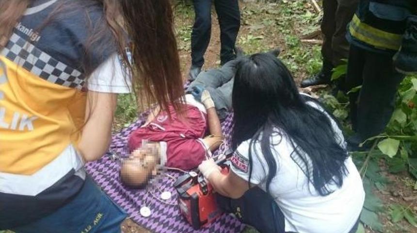 Ceviz Ağacında Elektrik Akımına Kapılıp &Ouml;ld&uuml;