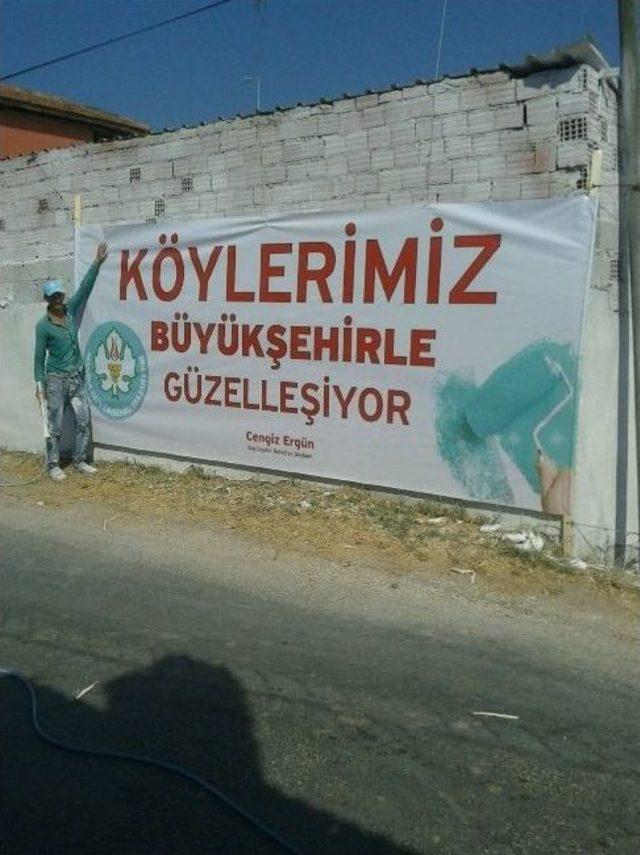 Akçaavlu, Beyaza Büründü