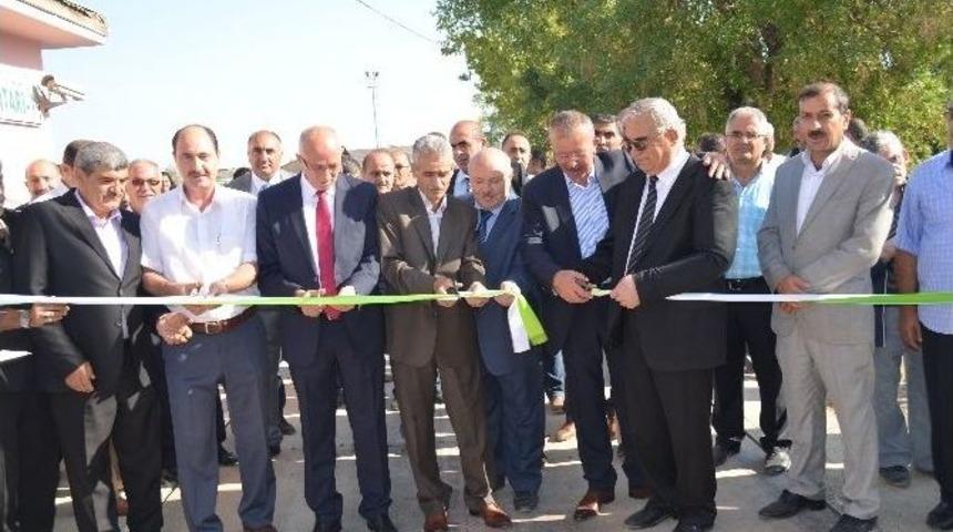 Şeker Pancarı Alım Kampanyası Başladı