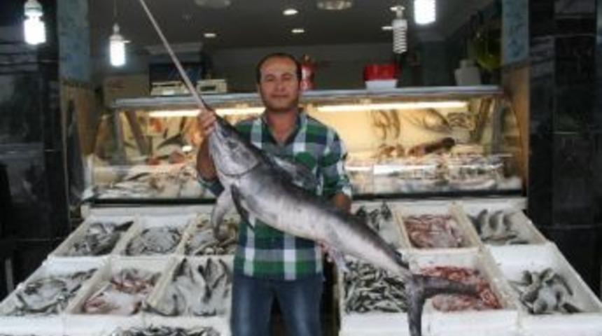 Marmaris&rsquo;te &rsquo;kılı&ccedil;lar&rsquo; &Ccedil;ekildi