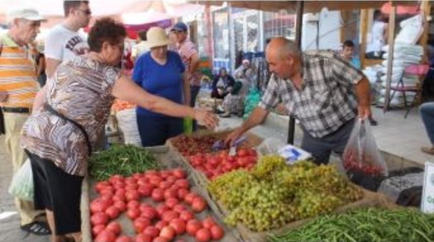 Organik Tarım &Ccedil;ift&ccedil;inin Umudu Oldu
