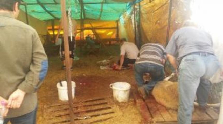 Zabıta Bayram Boyunca Denetimlerde Bulundu