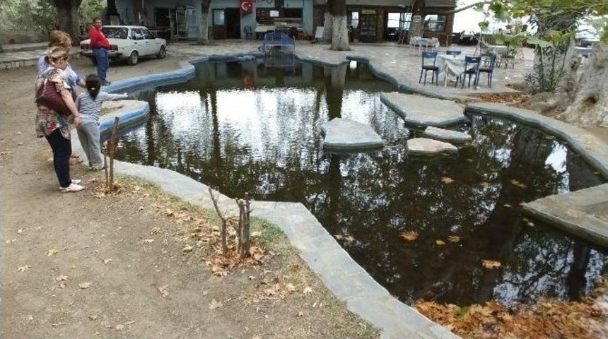 Marmara Denizini Andıran 77 Yıllık Havuza B&uuml;y&uuml;k İlgi