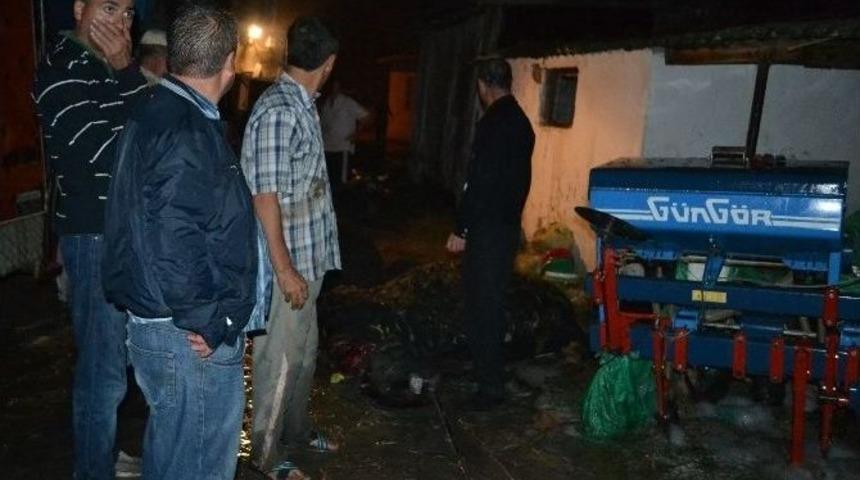 Ahırda &Ccedil;ıkan Yangından 2 Hayvan Zarar G&ouml;rd&uuml;