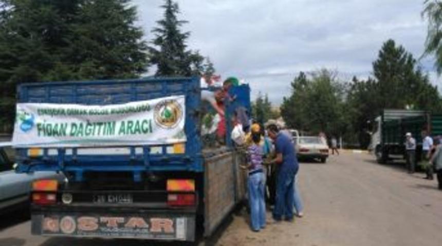 Eskişehir&rsquo;de 30 Bin Sedir Ve Kara&ccedil;am Fidanı &Uuml;cretsiz Dağıtıldı