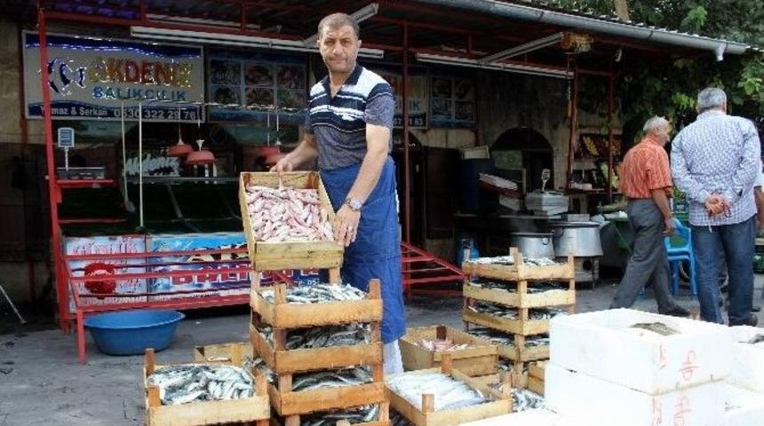 Kurban Eti Balık Satışlarını D&uuml;ş&uuml;rd&uuml;