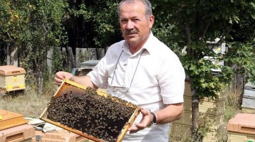 Yağışlar Bal &Uuml;retimini Y&uuml;zde 80 D&uuml;ş&uuml;rd&uuml;