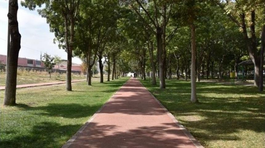 Kocasinan&rsquo;dan Sağlık İ&ccedil;in Y&uuml;r&uuml;y&uuml;ş Yolu Desteği