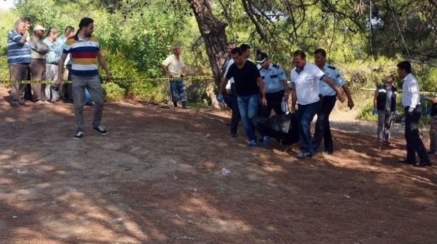 Belediyeye &ldquo;benim Cenazemi Kaldırın&rdquo; Deyip Kendini Astı