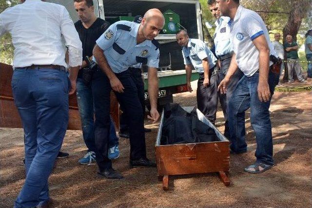 Belediyeye “benim Cenazemi Kaldırın” Deyip Kendini Astı