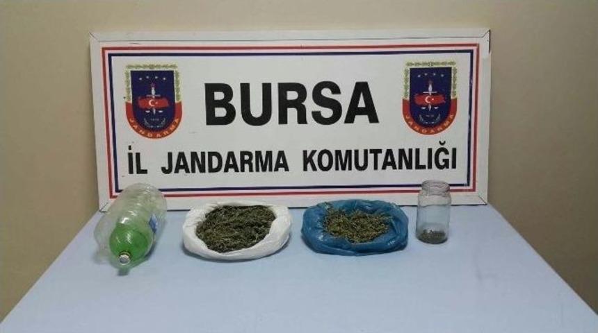 Bursa&rsquo;da İki Ayrı Operasyonda 835 Gram Esrar Ele Ge&ccedil;irildi