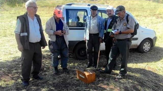 Çorum’da Kaçak Avcılara Ceza Yağdı