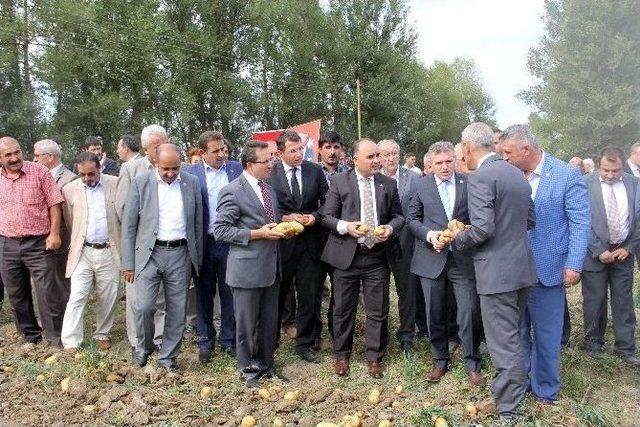 Kastamonu’da Patates Tarla Günü Düzenlendi