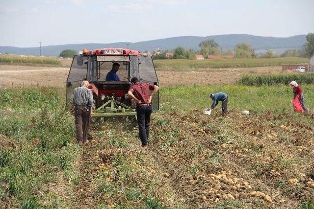 Kastamonu’da Patates Tarla Günü Düzenlendi