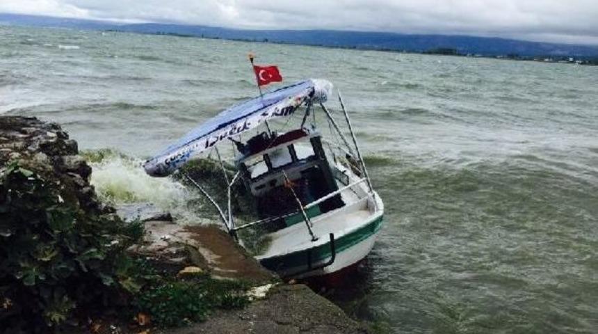 Fırtına Y&uuml;z&uuml;nden Kıyıya Vurdu