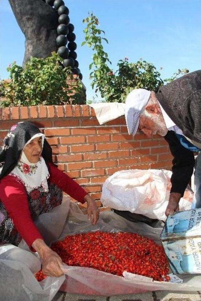 Kuşburnu Tavan Yaptı