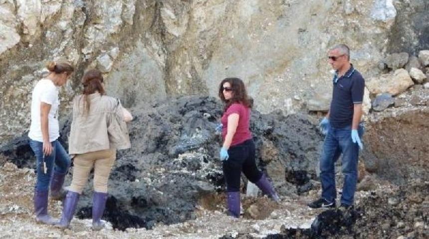 Pamukova'da Bir Taşocağında G&ouml;m&uuml;l&uuml; 12 Kamyon Dolusu Kimyasal Atık Bulundu