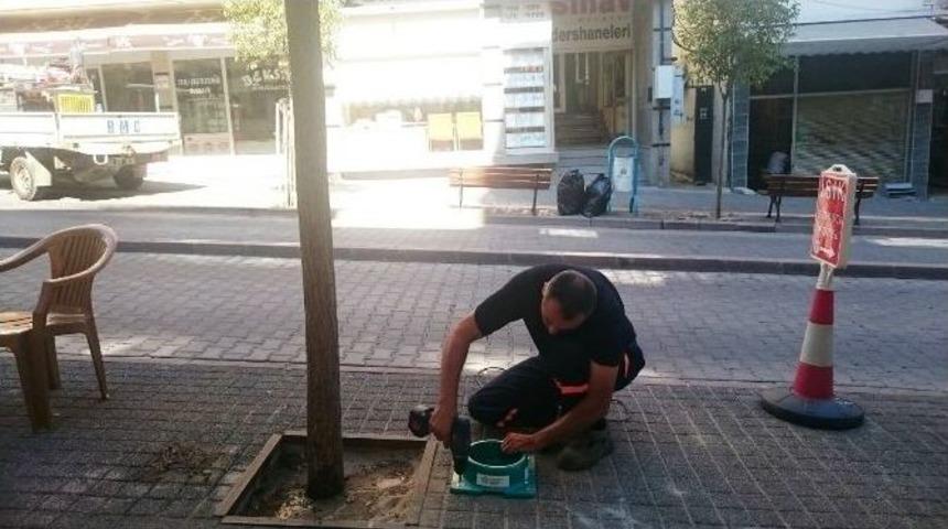 Sokak Hayvanlarının Su Kapları Yenilendi