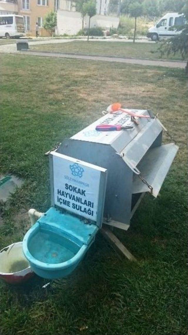 Sokak Hayvanlarının Su Kapları Yenilendi