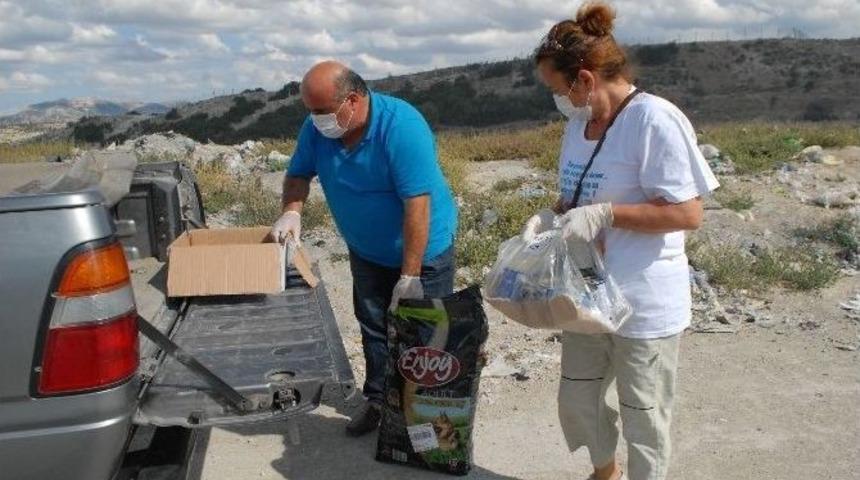 Sokak Hayvanlarına G&ouml;n&uuml;ll&uuml; Bakım