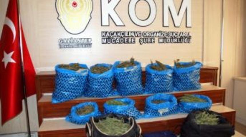 Evinde Esrar Bulunan Suriyeli Tutuklandı