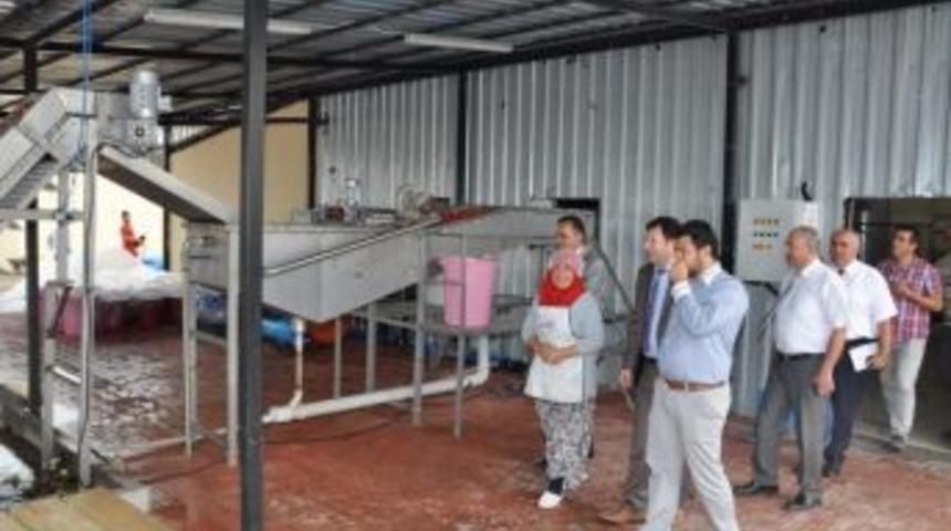 Tarımsal Sanayiye Kadın Eli