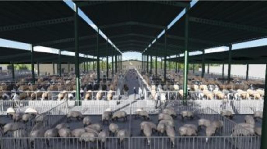 İzmit Belediyesi&rsquo;nden Hayvan Satış Yeri İhalesi Yapıldı