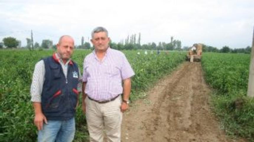 Yağmur &Ccedil;ift&ccedil;iyi Sevindirdi