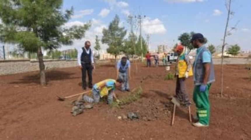 Batı İl&ccedil;e Otogarında Peyzaj &Ccedil;alışmaları S&uuml;r&uuml;yor