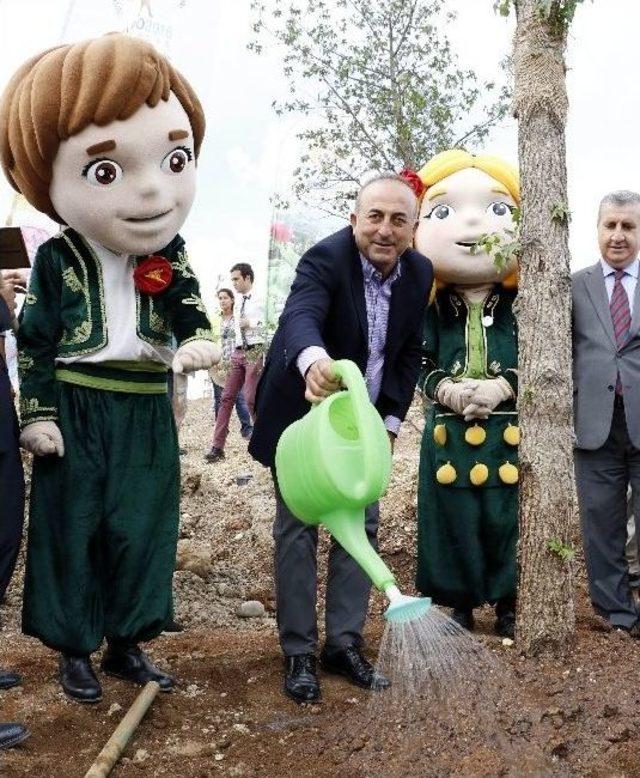 Expo 2016 İçin Rekor Katılımcı Beklentisi