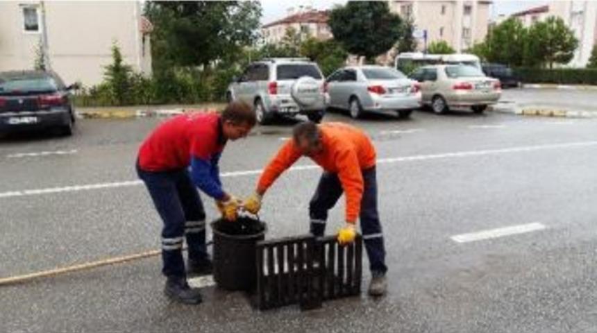 Başiskele&rsquo;de Mazgallar Temizleniyor