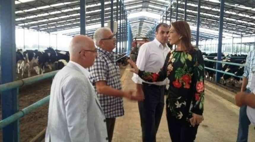 İzmirli S&uuml;t &Uuml;reticisinin Primleri Yatırıldı; Rakam &ldquo;15 Milyon&rdquo;