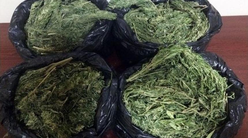 Denizli’de Uyuşturucu Operasyonu: 2 Tutuklama