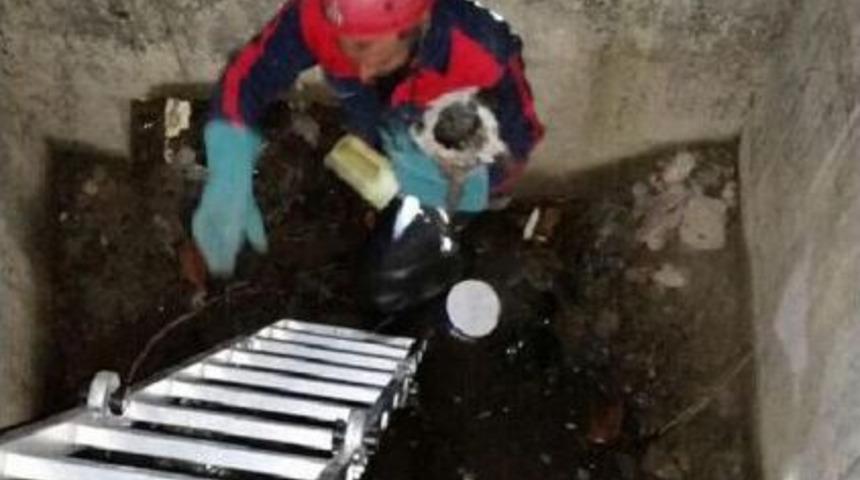 Sulama Kanalına D&uuml;şen Yavru K&ouml;peği Itfaiye Kurtardı