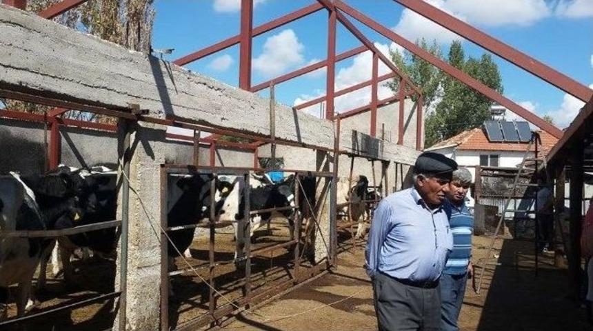 Yanan Ahıra B&uuml;y&uuml;kşehir Belediyesi Desteği