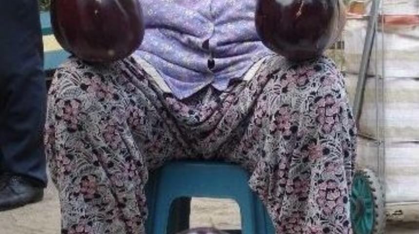 Devasa Patlıcanlar İlgi Odağı Oldu