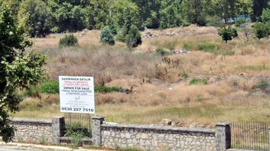 Kent Konseyi &rsquo;arboretum&rsquo;a Konut İstemiyor