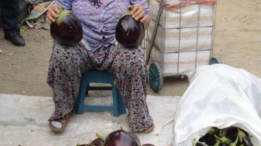 Aegean Villager Produces &ldquo;Family-Size&rdquo; Organic Aubergines