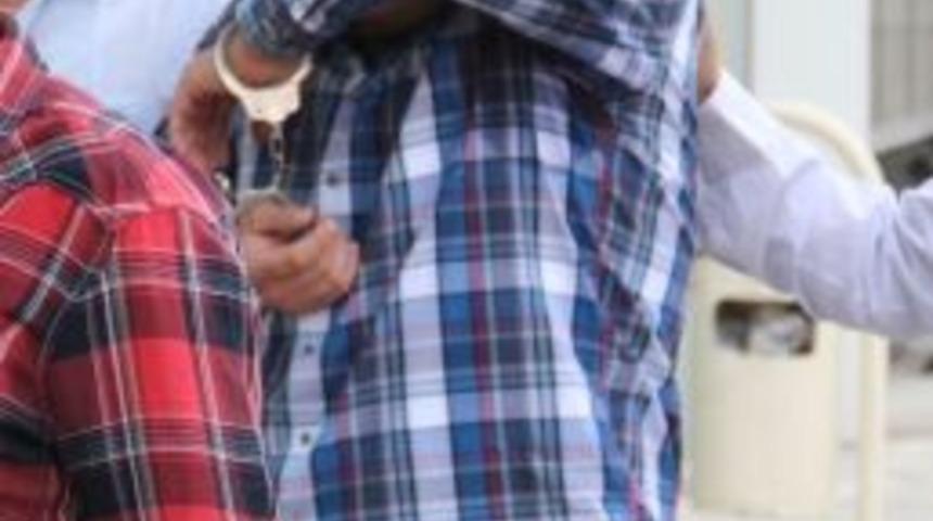 &Uuml;zerinde &Uuml;&ccedil; Paket Bonzai &Ccedil;ıktı