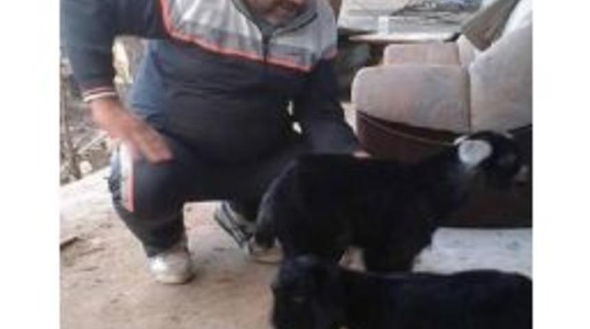 Otob&uuml;s&uuml;n Muavinini T&uuml;fekle &Ouml;ld&uuml;rd&uuml;