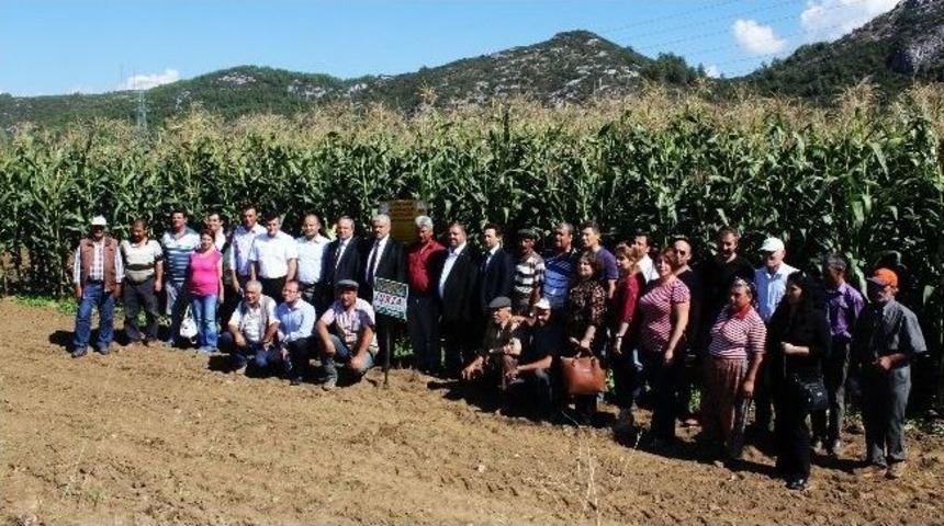 Doğank&ouml;y&rsquo;da &lsquo;tarla G&uuml;n&uuml;&rsquo;