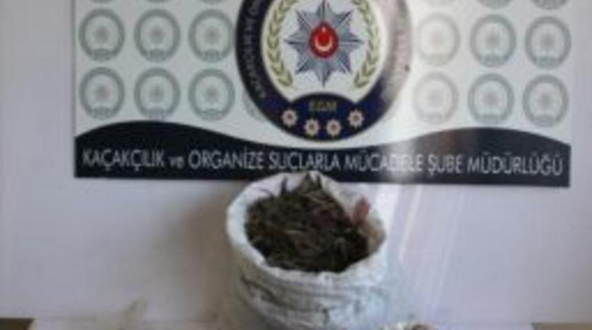 Kırklareli&rsquo;de Uyuşturucu Operasyonu