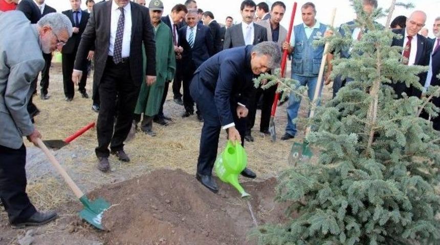 11. Cumhurbaşkanı Abdullah G&uuml;l Hatıra Ormanına Ağa&ccedil; Dikti