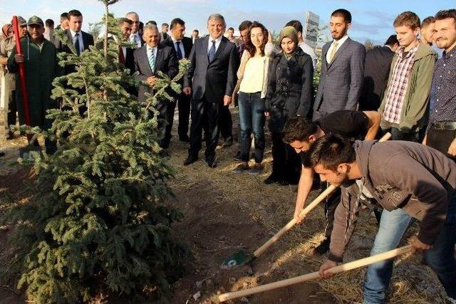 11. Cumhurbaşkanı Abdullah Gül Hatıra Ormanına Ağaç Dikti