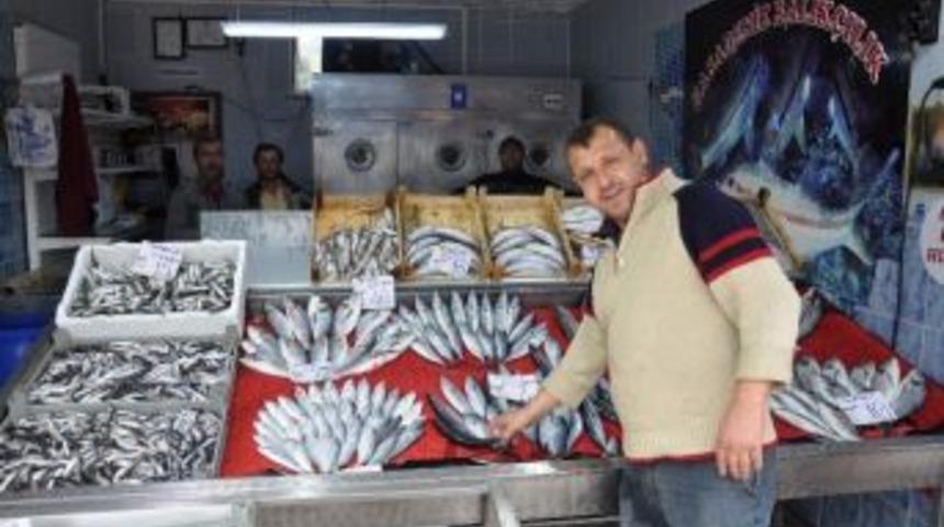 Balık Sezonu Y&uuml;z G&uuml;ld&uuml;rmedi