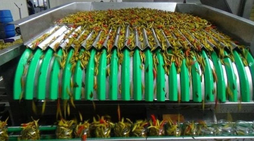 Kış Aylarının Vazge&ccedil;ilmez Yiyeceği Turşunun Sırrı