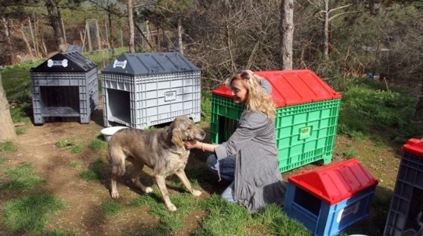 K&uuml;&ccedil;&uuml;k&ccedil;ekmece&rsquo;de Plastikler Yuvaya D&ouml;n&uuml;şecek