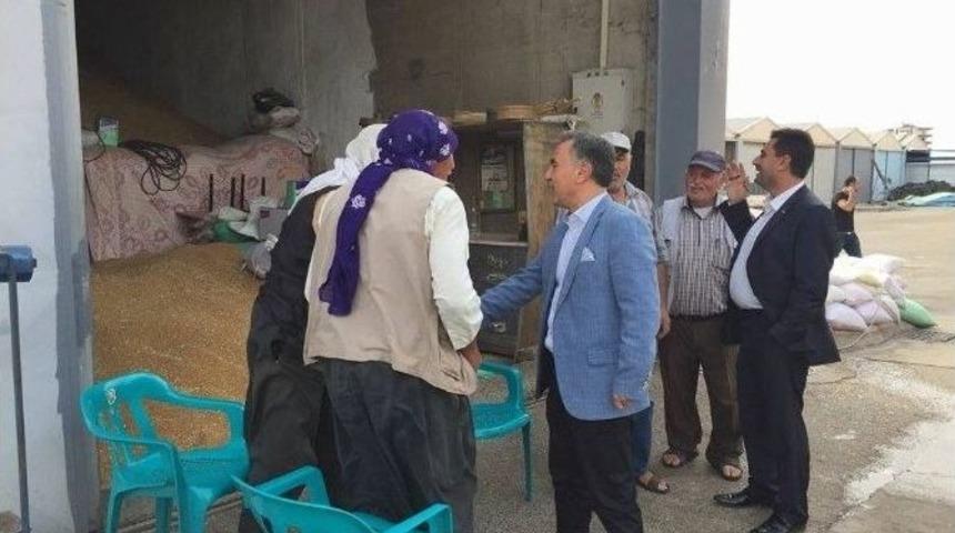 Ak Partili Bal, Dur Durak Bilmiyor